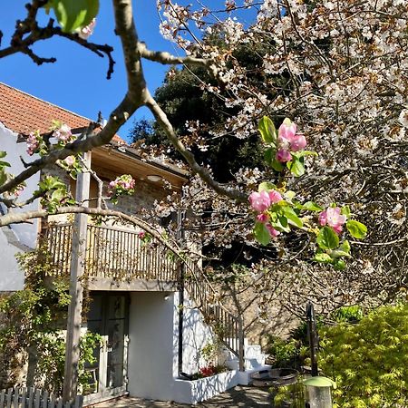 Westbury Cross House Bed & Breakfast Zewnętrze zdjęcie