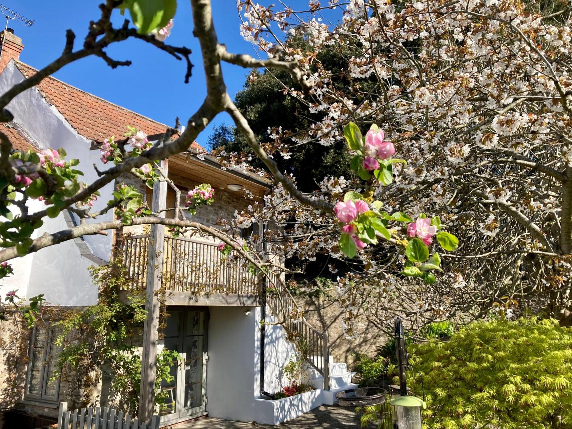 Westbury Cross House Bed & Breakfast Zewnętrze zdjęcie